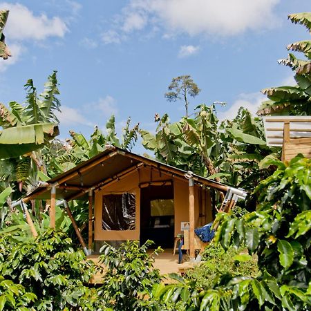 Glamping Jardin Hotel Kültér fotó
