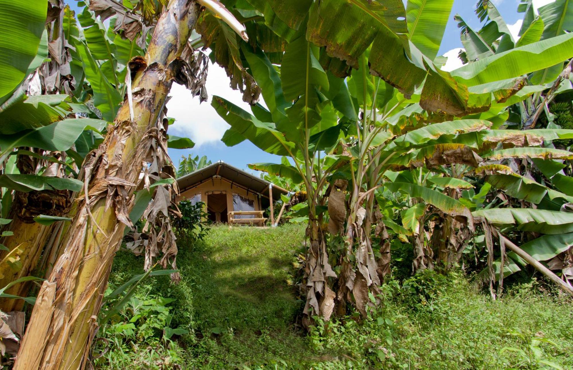 Glamping Jardin Hotel Kültér fotó